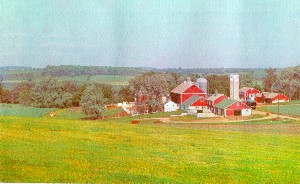 dairyp2b.jpg (21729 bytes)